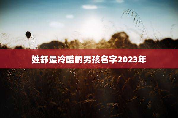 姓舒最冷酷的男孩名字2023年
