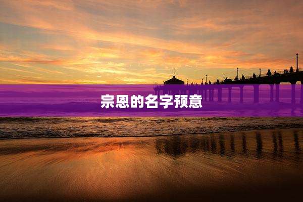 宗恩的名字预意