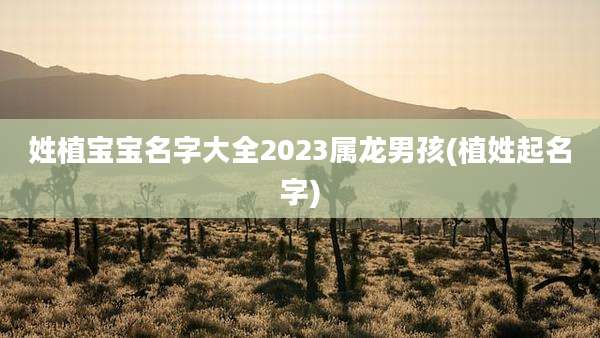 姓植宝宝名字大全2023属龙男孩(植姓起名字)
