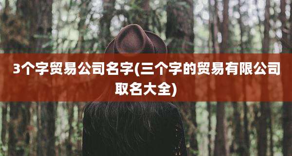 3个字贸易公司名字(三个字的贸易有限公司取名大全)
