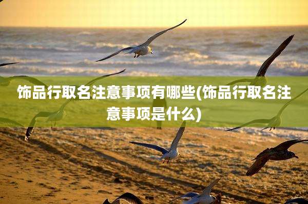 饰品行取名注意事项有哪些(饰品行取名注意事项是什么)