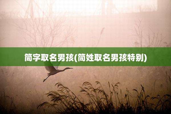 简字取名男孩(简姓取名男孩特别)