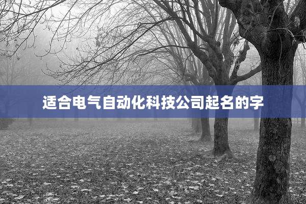 适合电气自动化科技公司起名的字