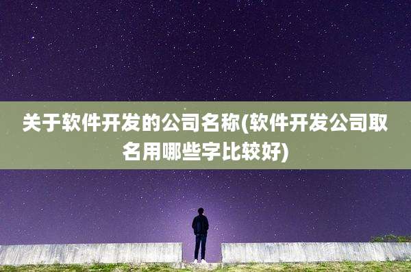 关于软件开发的公司名称(软件开发公司取名用哪些字比较好)