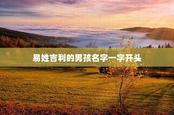 易姓吉利的男孩名字一字开头