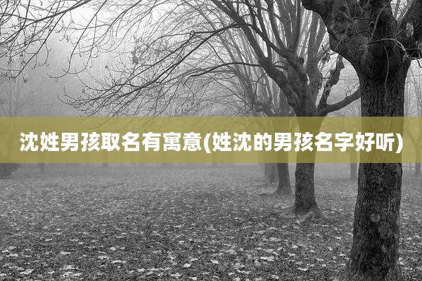 沈姓男孩取名有寓意(姓沈的男孩名字好听)