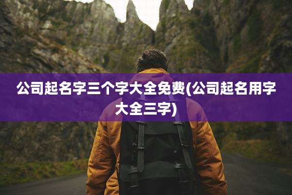 公司起名字三个字大全免费(公司起名用字大全三字)