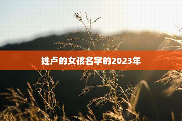 姓卢的女孩名字的2023年