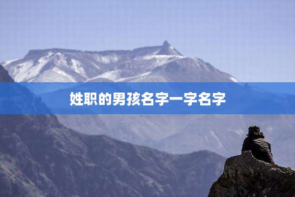姓职的男孩名字一字名字