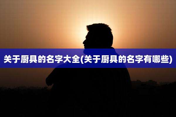 关于厨具的名字大全(关于厨具的名字有哪些)