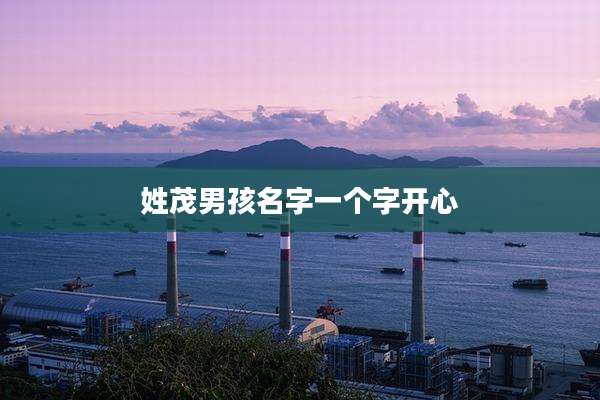 姓茂男孩名字一个字开心