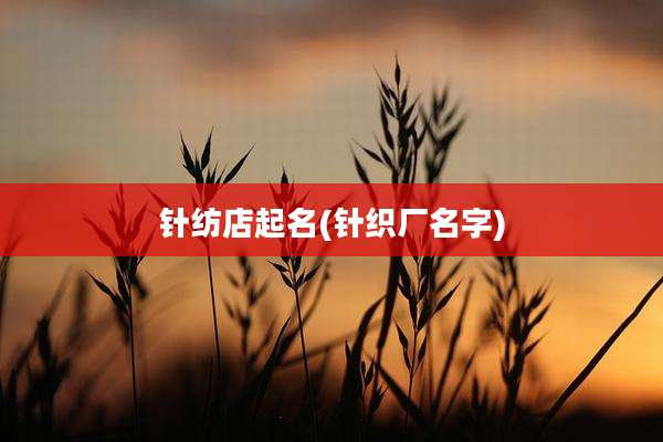 针纺店起名(针织厂名字)
