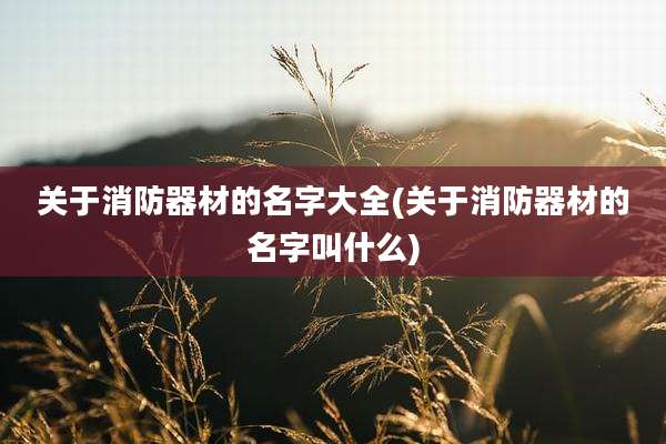 关于消防器材的名字大全(关于消防器材的名字叫什么)
