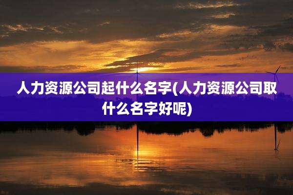人力资源公司起什么名字(人力资源公司取什么名字好呢)