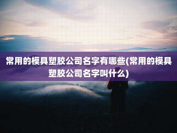 常用的模具塑胶公司名字有哪些(常用的模具塑胶公司名字叫什么)