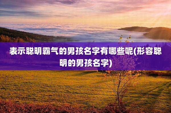 表示聪明霸气的男孩名字有哪些呢(形容聪明的男孩名字)