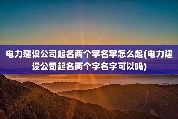 电力建设公司起名两个字名字怎么起(电力建设公司起名两个字名字可以吗)