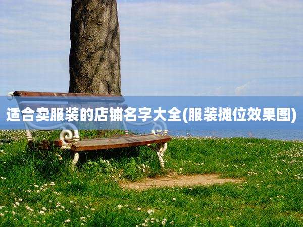 适合卖服装的店铺名字大全(服装摊位效果图)