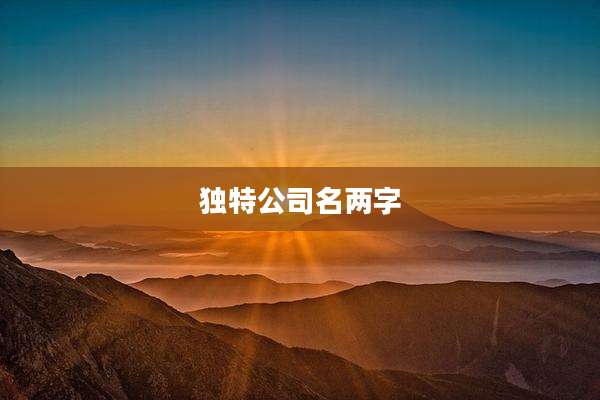 独特公司名两字