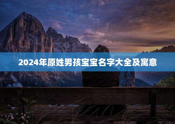 2024年原姓男孩宝宝名字大全及寓意