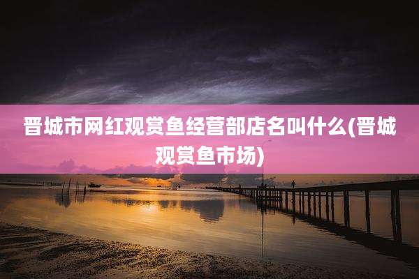 晋城市网红观赏鱼经营部店名叫什么(晋城观赏鱼市场)