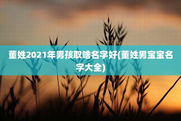 董姓2021年男孩取啥名字好(董姓男宝宝名字大全)