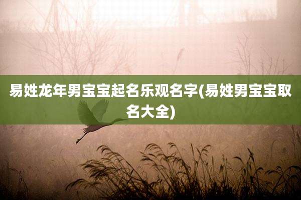易姓龙年男宝宝起名乐观名字(易姓男宝宝取名大全)
