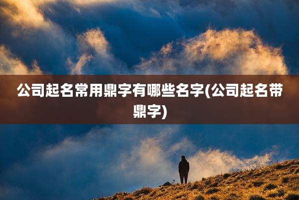 公司起名常用鼎字有哪些名字(公司起名带鼎字)