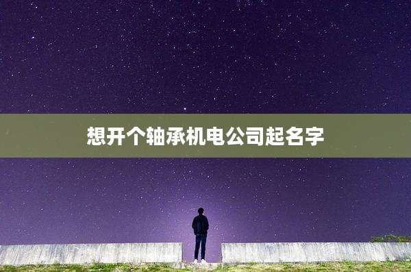 想开个轴承机电公司起名字