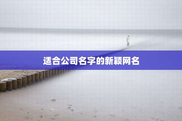 适合公司名字的新颖网名