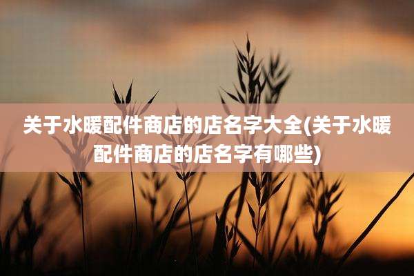 关于水暖配件商店的店名字大全(关于水暖配件商店的店名字有哪些)