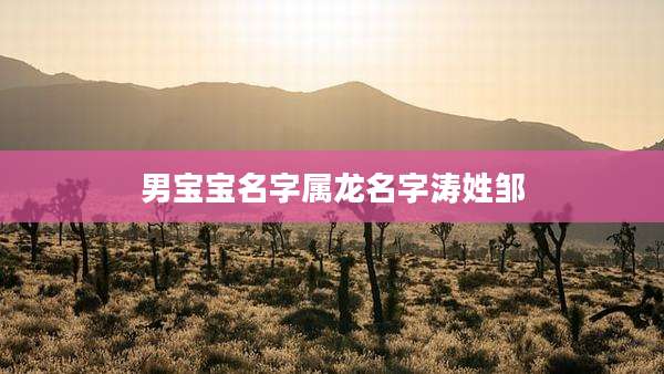 男宝宝名字属龙名字涛姓邹