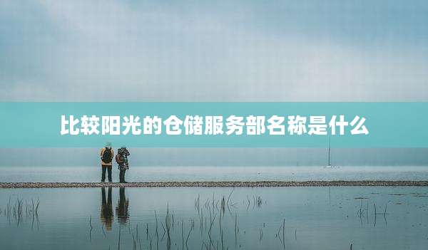比较阳光的仓储服务部名称是什么