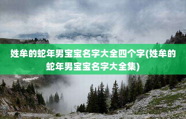 姓牟的蛇年男宝宝名字大全四个字(姓牟的蛇年男宝宝名字大全集)