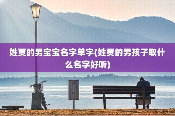 姓贾的男宝宝名字单字(姓贾的男孩子取什么名字好听)