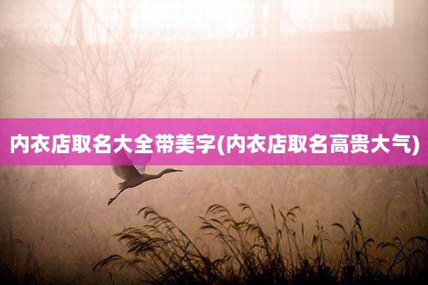 内衣店取名大全带美字(内衣店取名高贵大气)