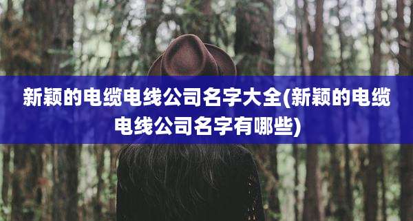 新颖的电缆电线公司名字大全(新颖的电缆电线公司名字有哪些)