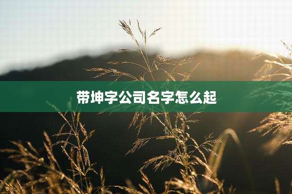 带坤字公司名字怎么起