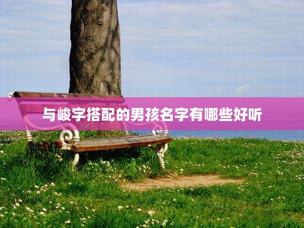 与峻字搭配的男孩名字有哪些好听
