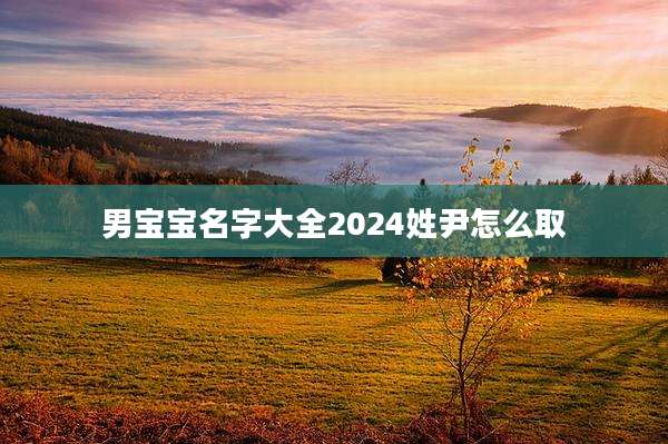 男宝宝名字大全2024姓尹怎么取