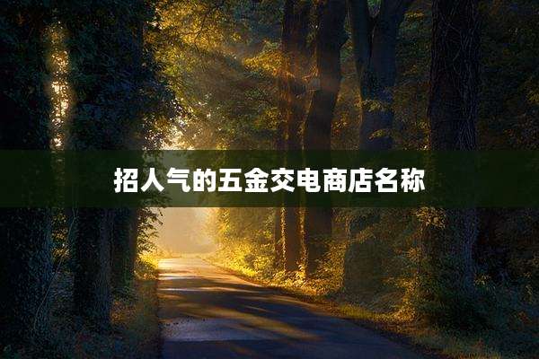 招人气的五金交电商店名称