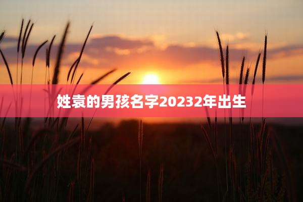 姓袁的男孩名字20232年出生
