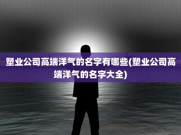 塑业公司高端洋气的名字有哪些(塑业公司高端洋气的名字大全)