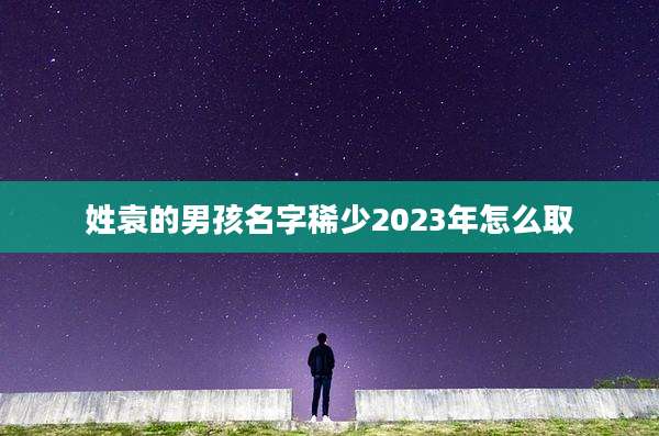 姓袁的男孩名字稀少2023年怎么取