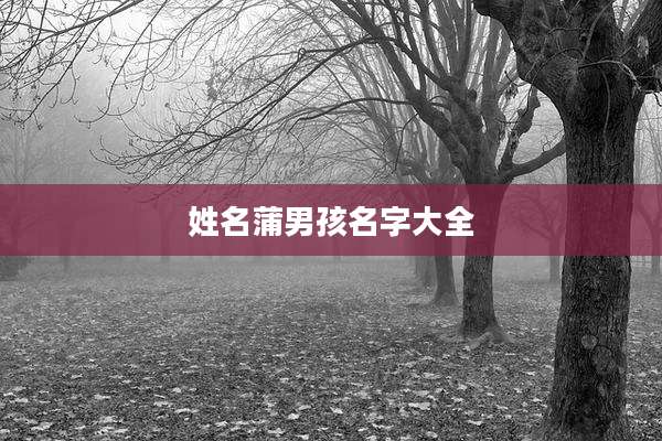 姓名蒲男孩名字大全