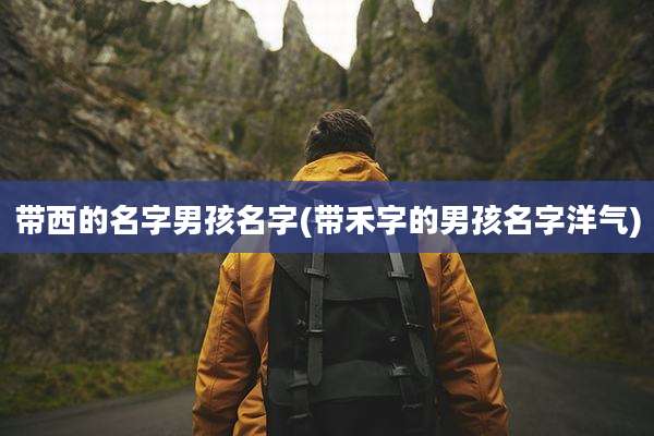 带西的名字男孩名字(带禾字的男孩名字洋气)