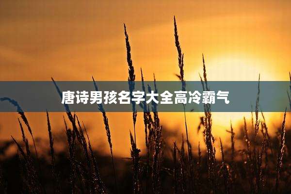 唐诗男孩名字大全高冷霸气