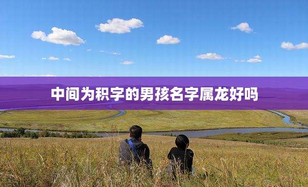 中间为积字的男孩名字属龙好吗