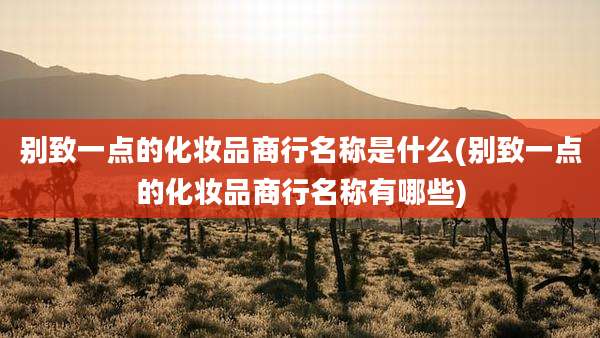 别致一点的化妆品商行名称是什么(别致一点的化妆品商行名称有哪些)