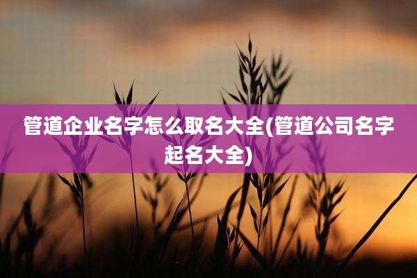 管道企业名字怎么取名大全(管道公司名字起名大全)
